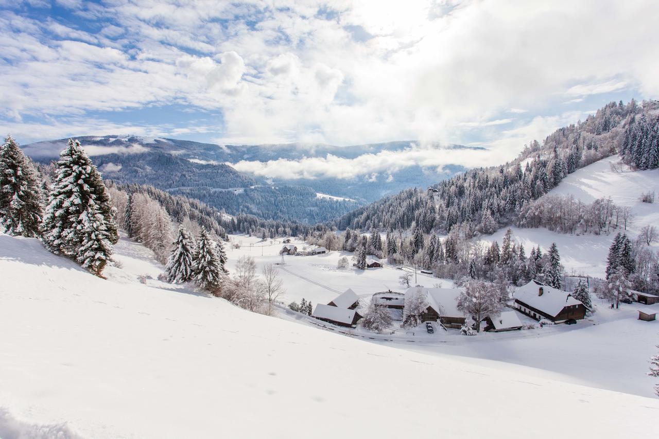 Villa Bodnerhof à Arriach Extérieur photo